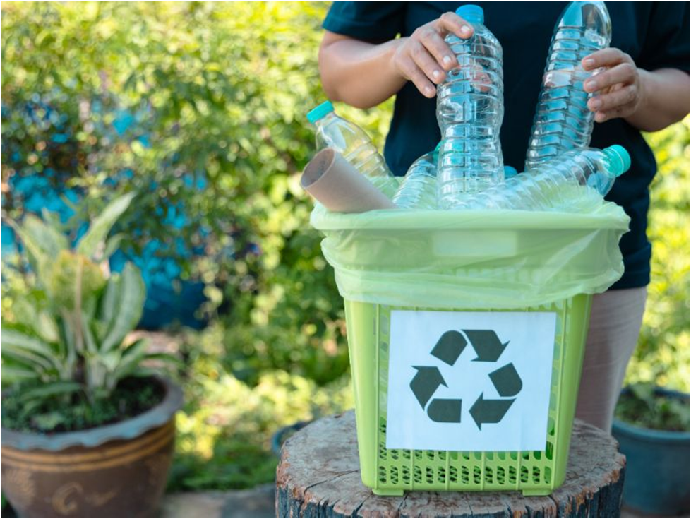 Bottle Depots: Revolutionizing Recycling for a Greener Future